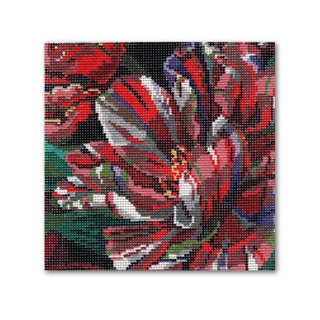 KDS-PL 35 Parrot Tulip - TS