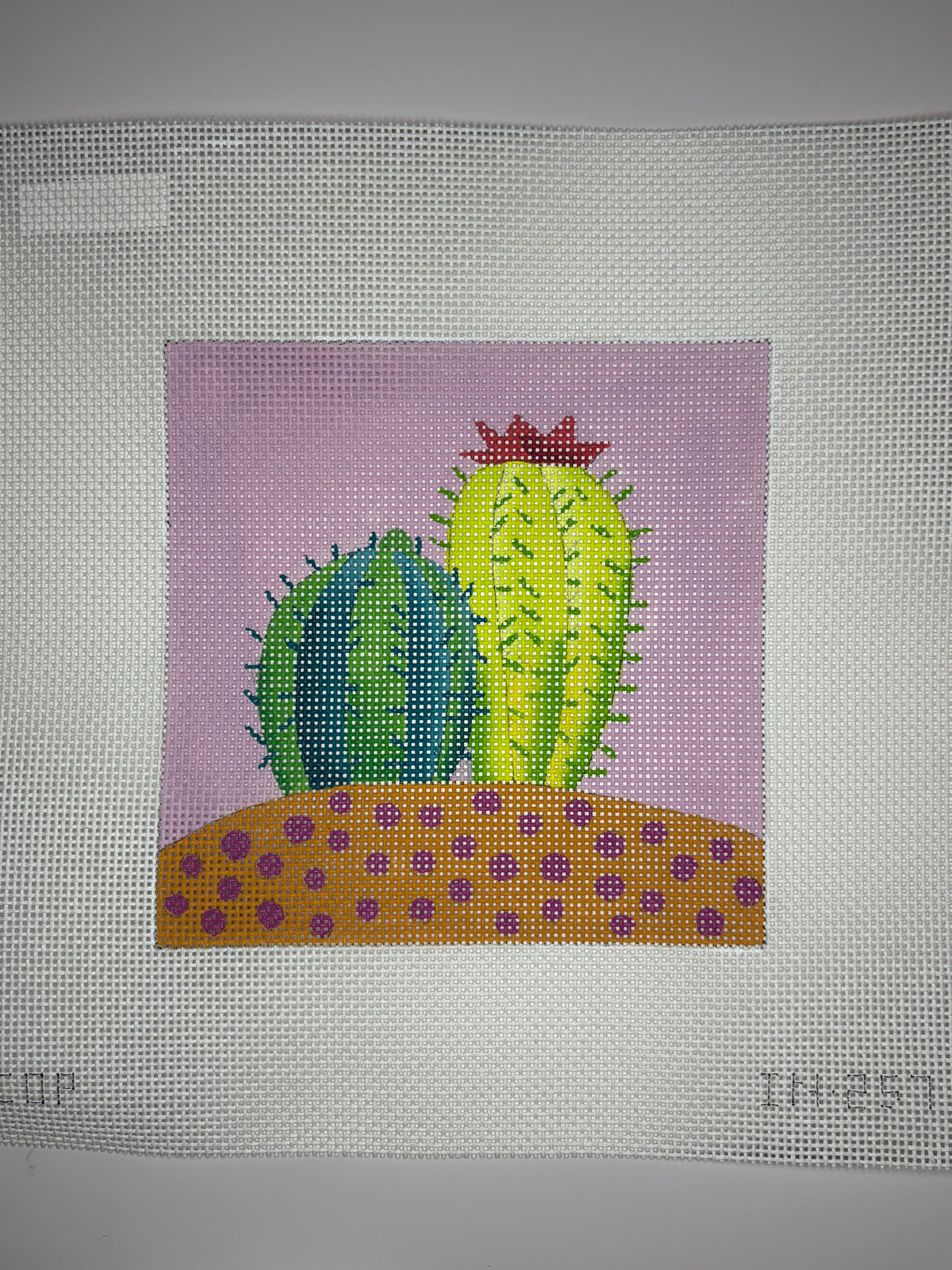 IN257 Cactuses - MKT3