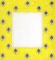 LR 319Y FRAME-YELLOW - TS