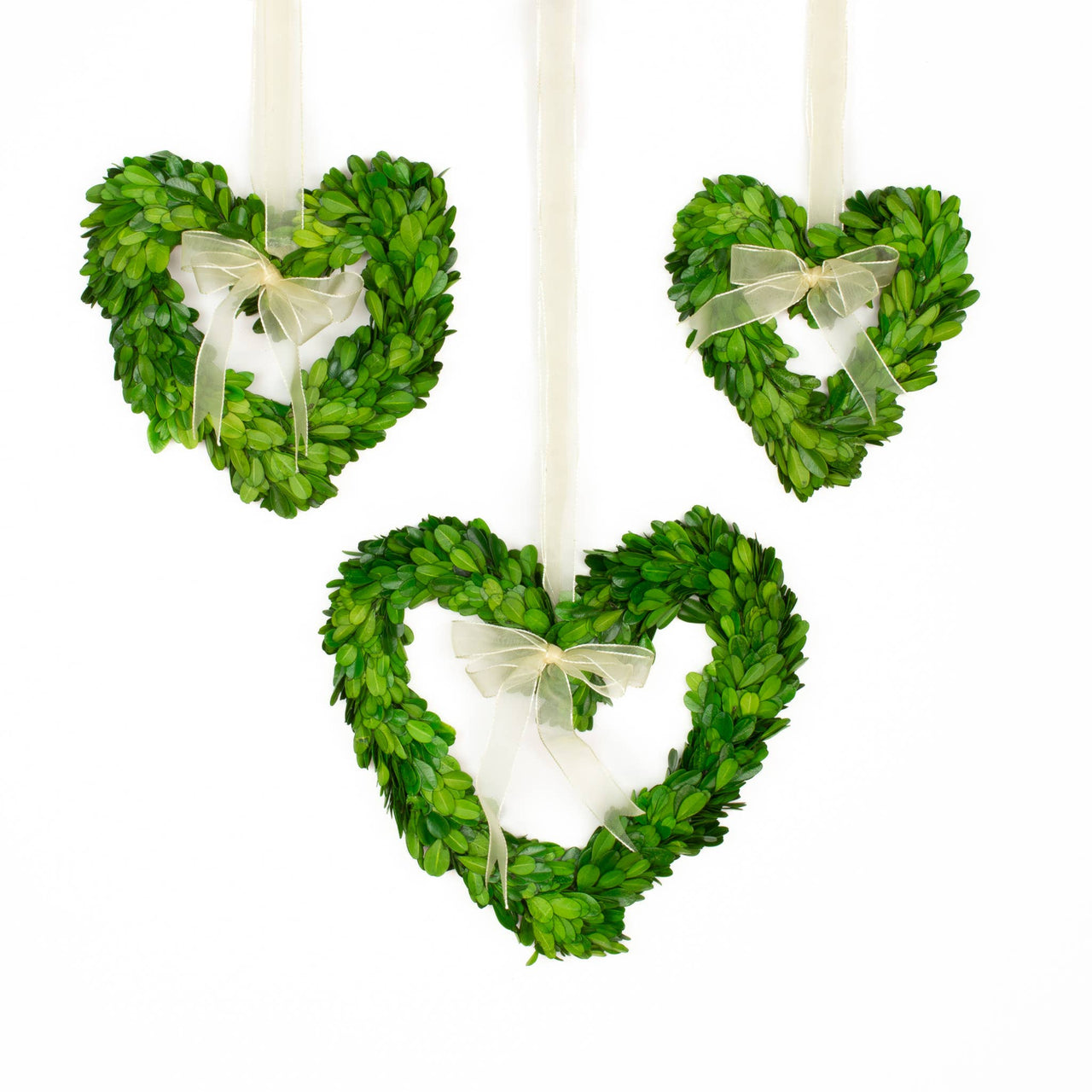 Preserved Boxwood Wreath - Heart With Ribbon