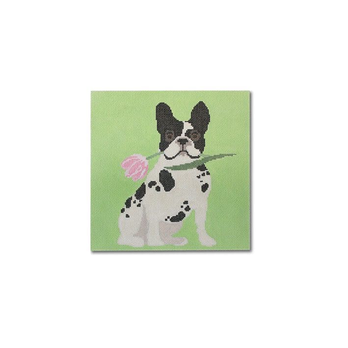 LRE-PL 30 Flowery Frenchy - TS