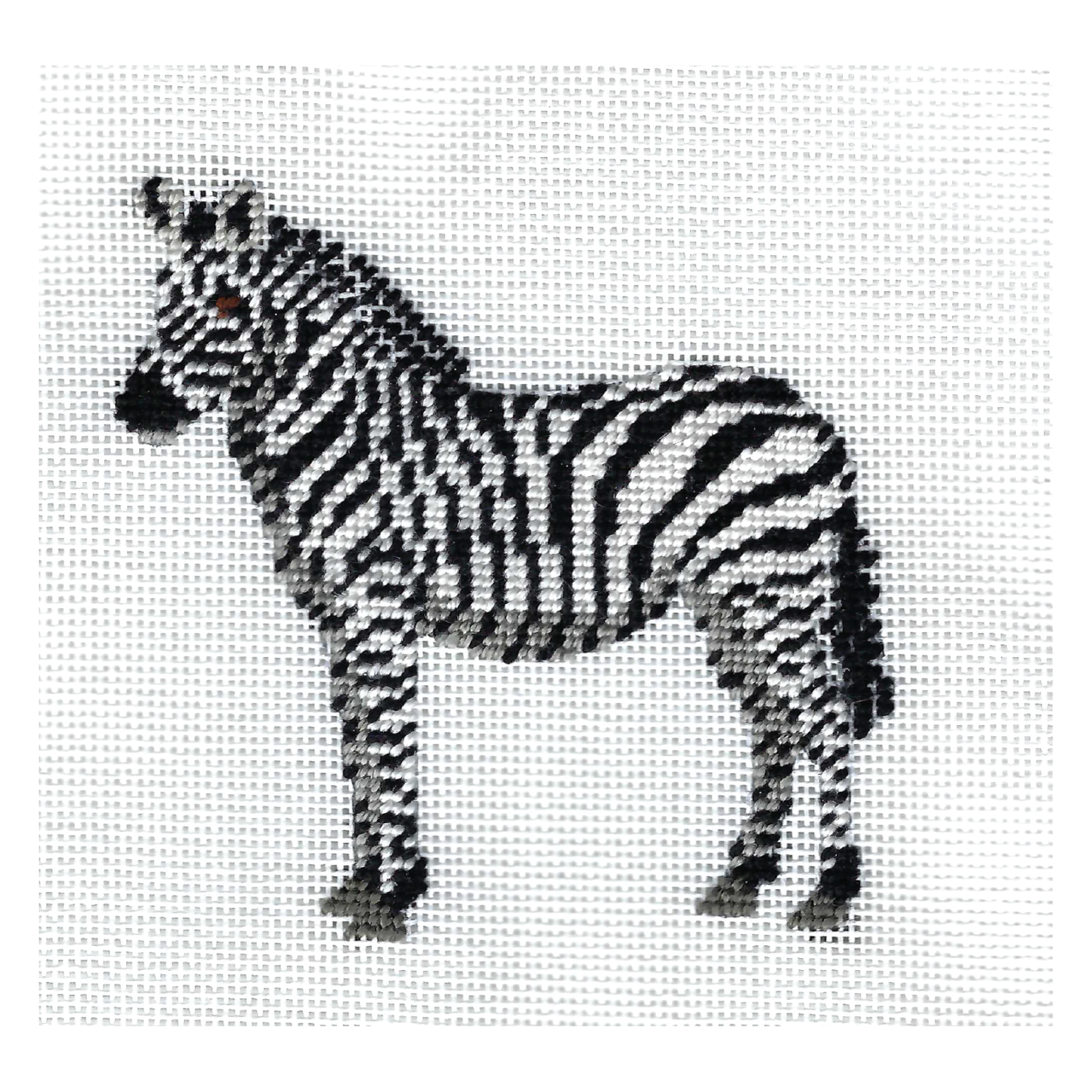 African Zebra PR-238