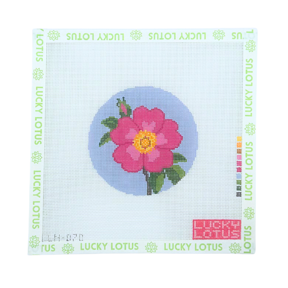LLN-070 Wild Prairie Rose IA ND - SE