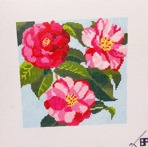 22-225 Camellia 5” square  - TS