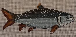 ©KAA 9006B MACKINAW TROUT - TS