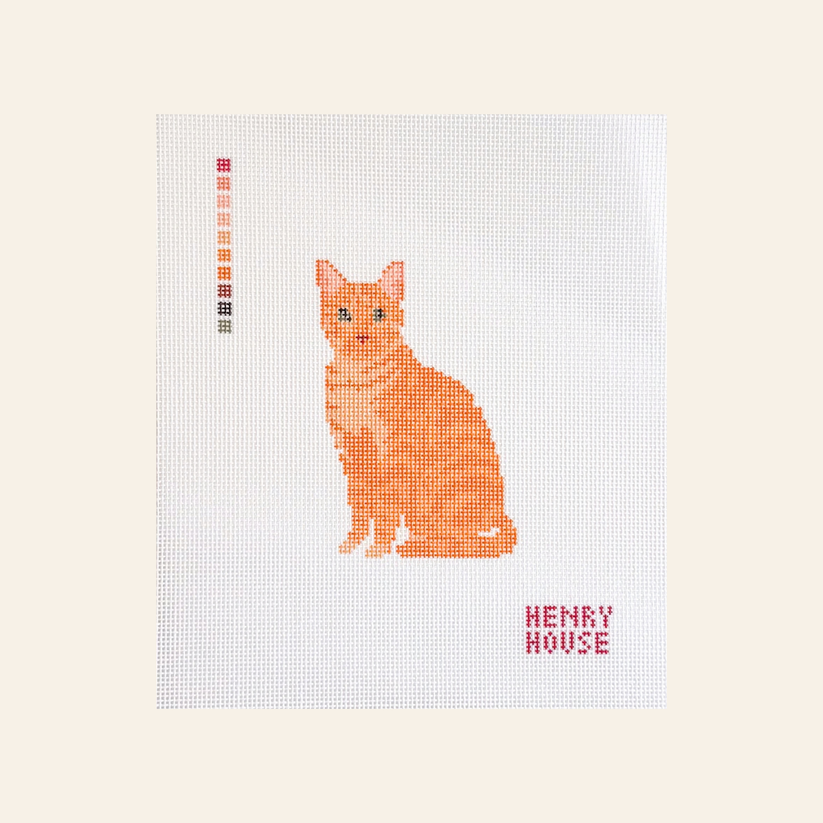 Cat - Orange