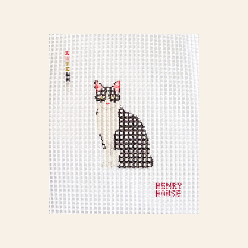 Cat - Black