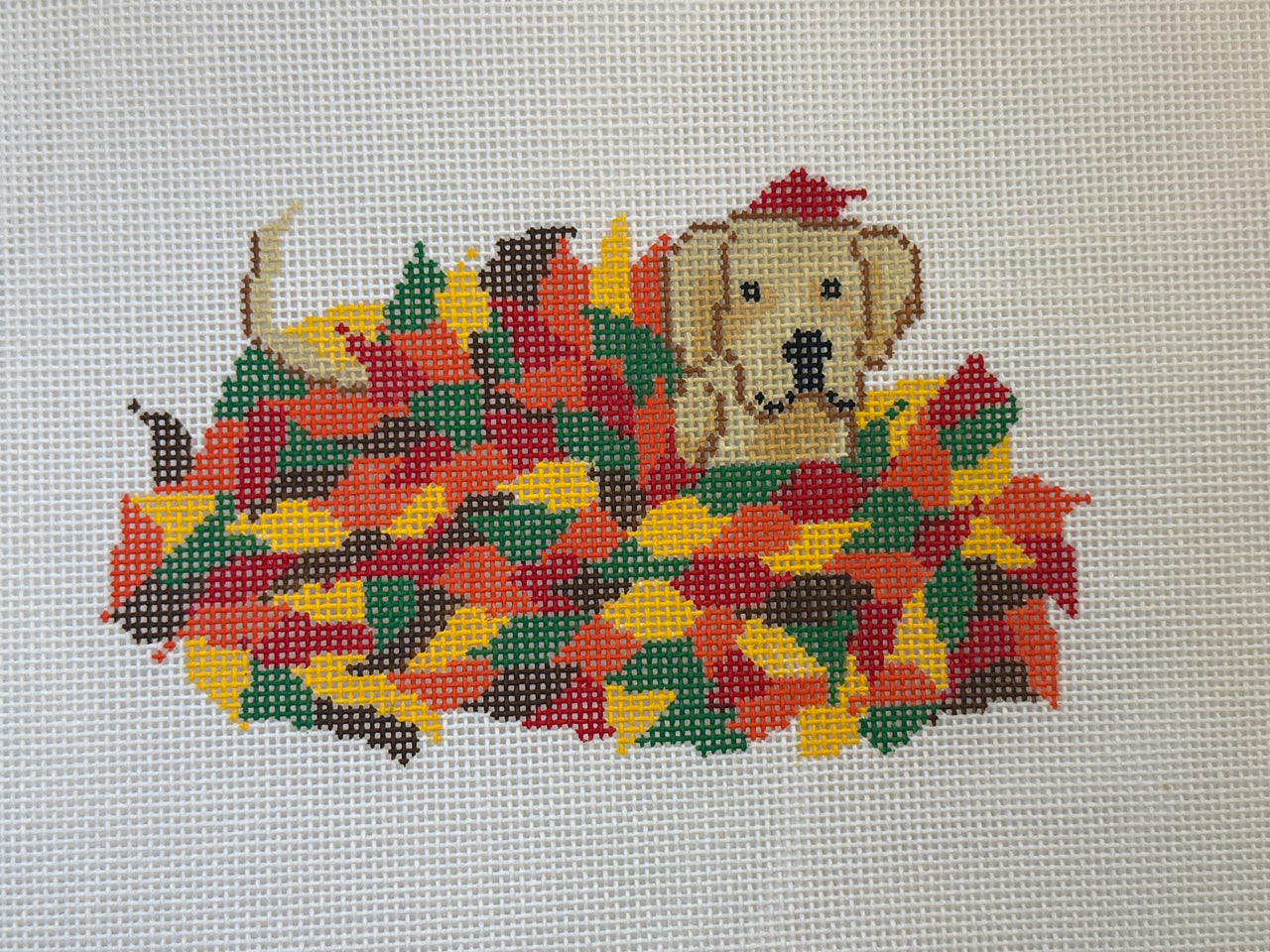 Gold Labrador in Fall Leaves FD262