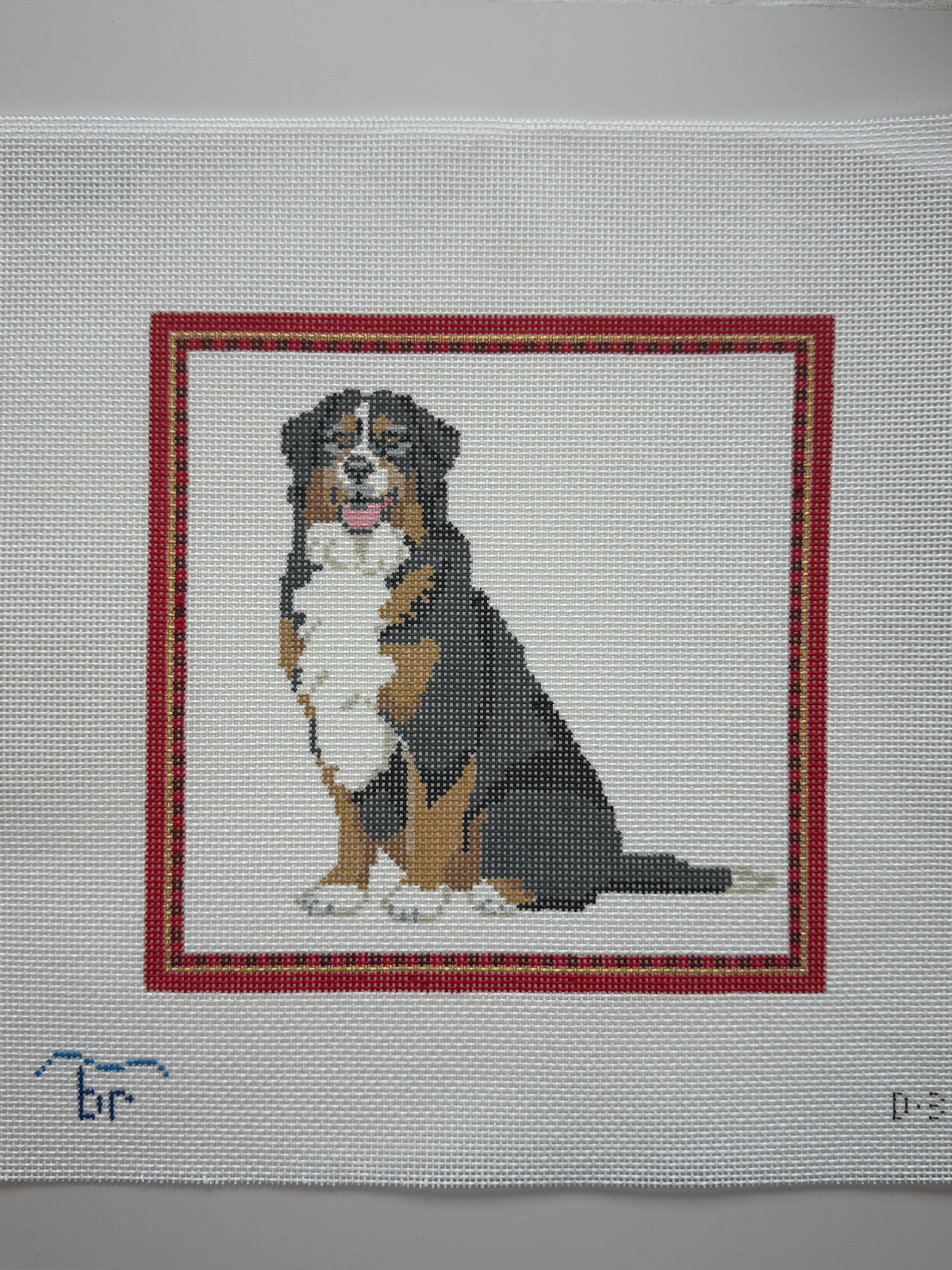 D3 Bernese Mountain Dog - MKT