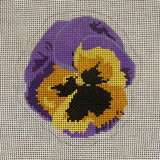 Pansy KCD1586