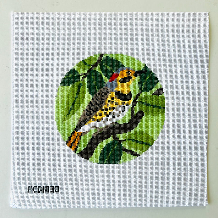 KCD1838 Flicker Bird - TS