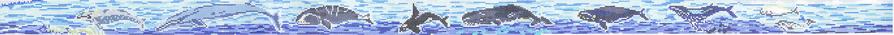 ©SWB 1071 WHALE BELT - TS