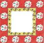 LR 345 6X6 RED FRAME - TS