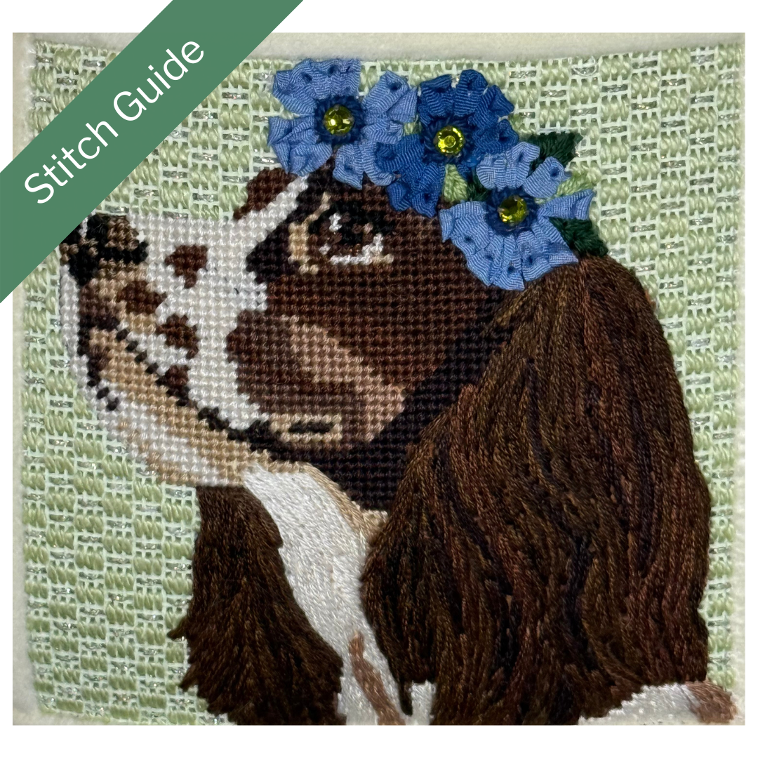 Springer Spaniel Canvas + Stitch Guide by Melissa MacLeod