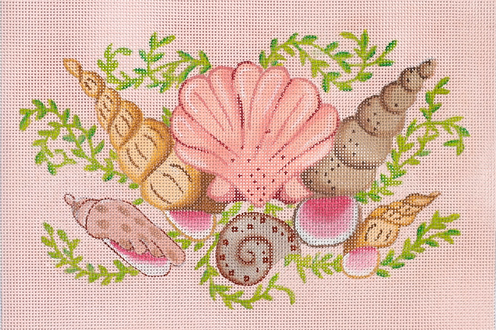 PL-57 Mixed Shells Rectangle – pink sand bkgd. - TS