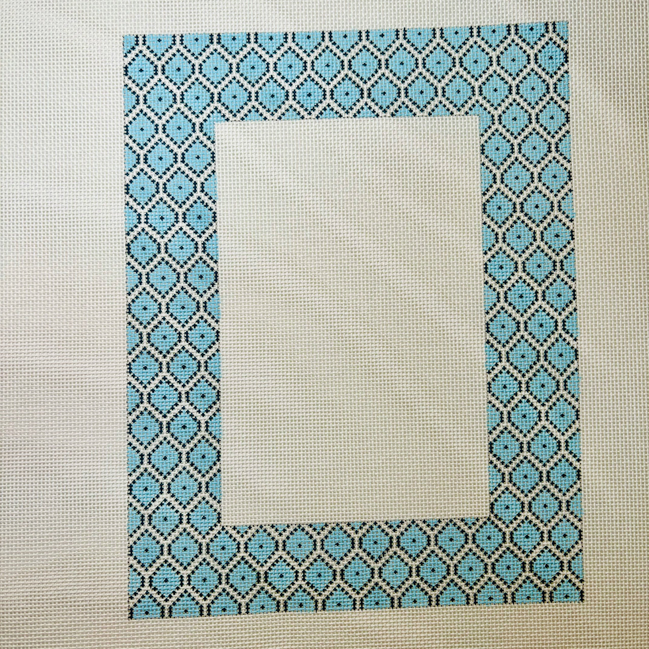 Blue Fish Scale Frame