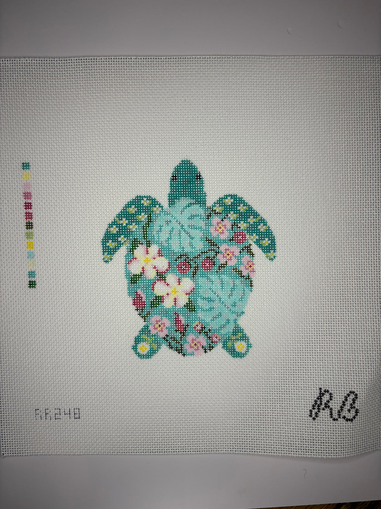 RR248 Tilly the Turtle