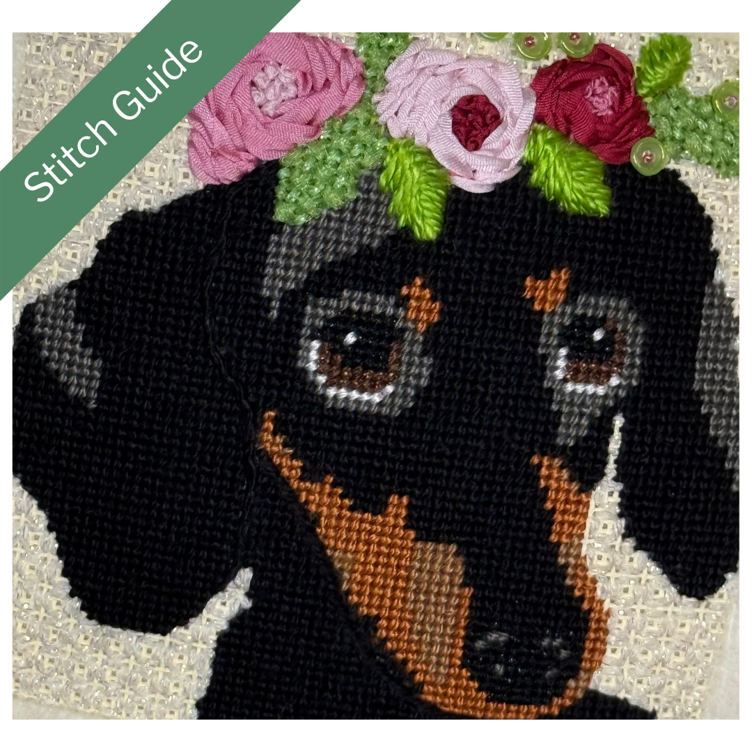 D17 Dachshund