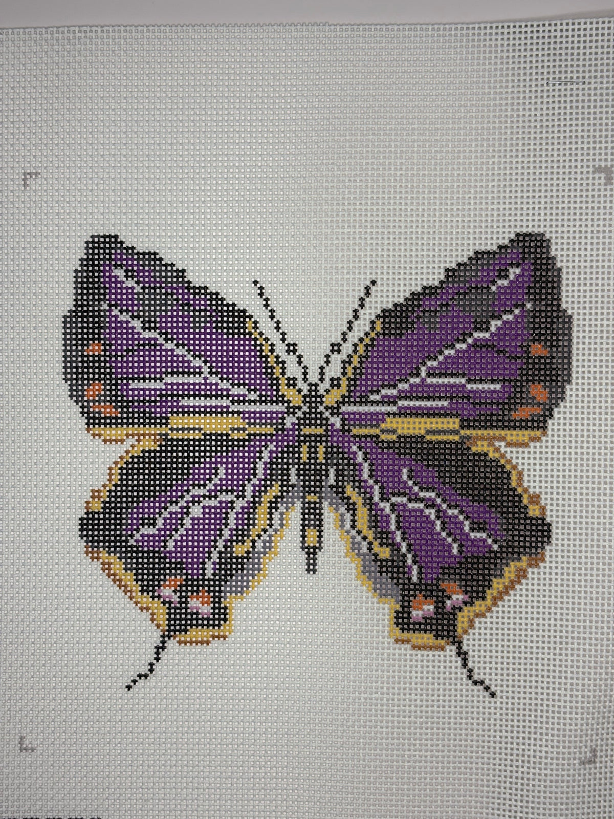 IKS3053B Colorado Butterfly Large - MKT2