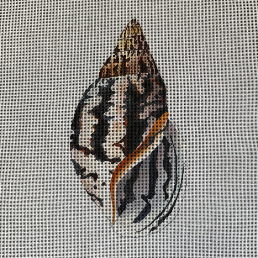 MC504 Seashell (front)