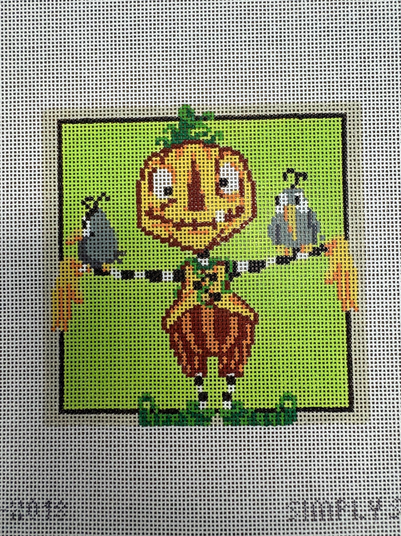 SS-XO 18 Pumpkin - TS