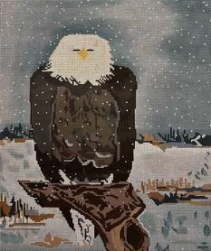 ©KAA 9007 BALD EAGLE - TS