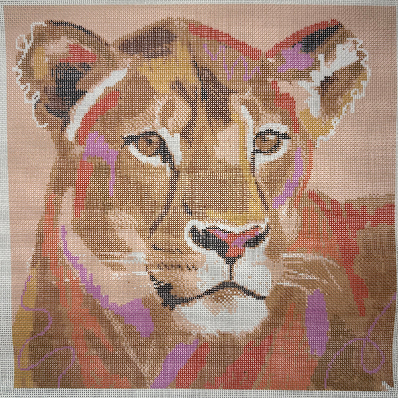 TA4099 Lioness - MKT