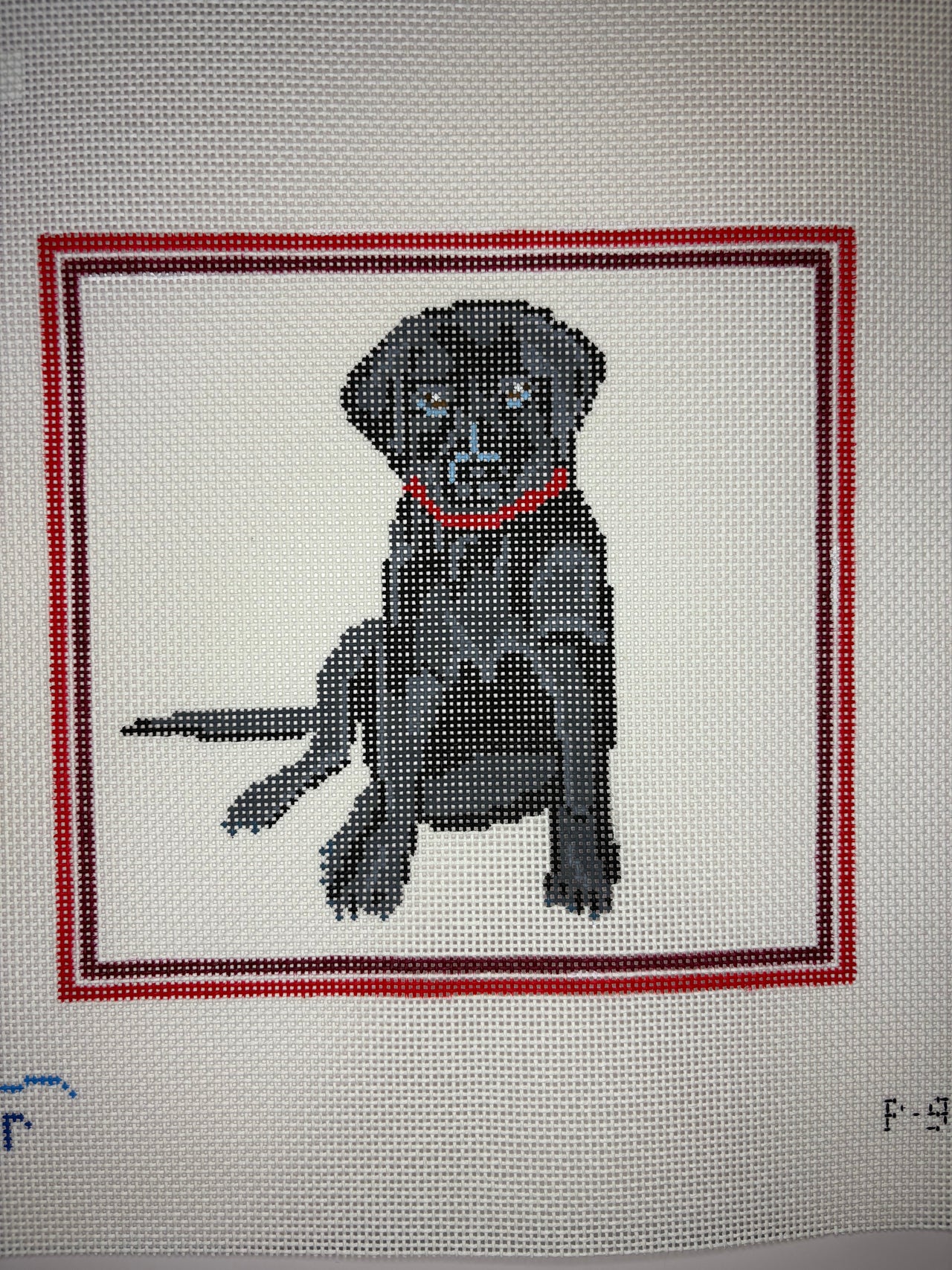 P-9-D Black Lab in Red Frame