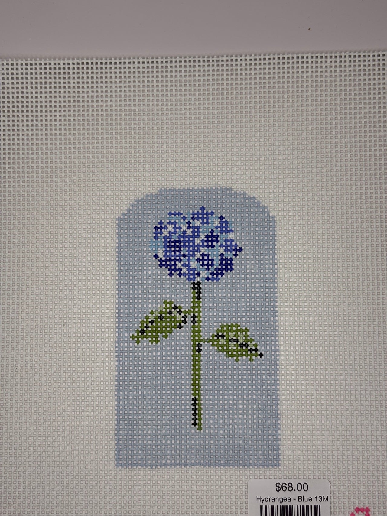 Hydrangea - Blue 13M