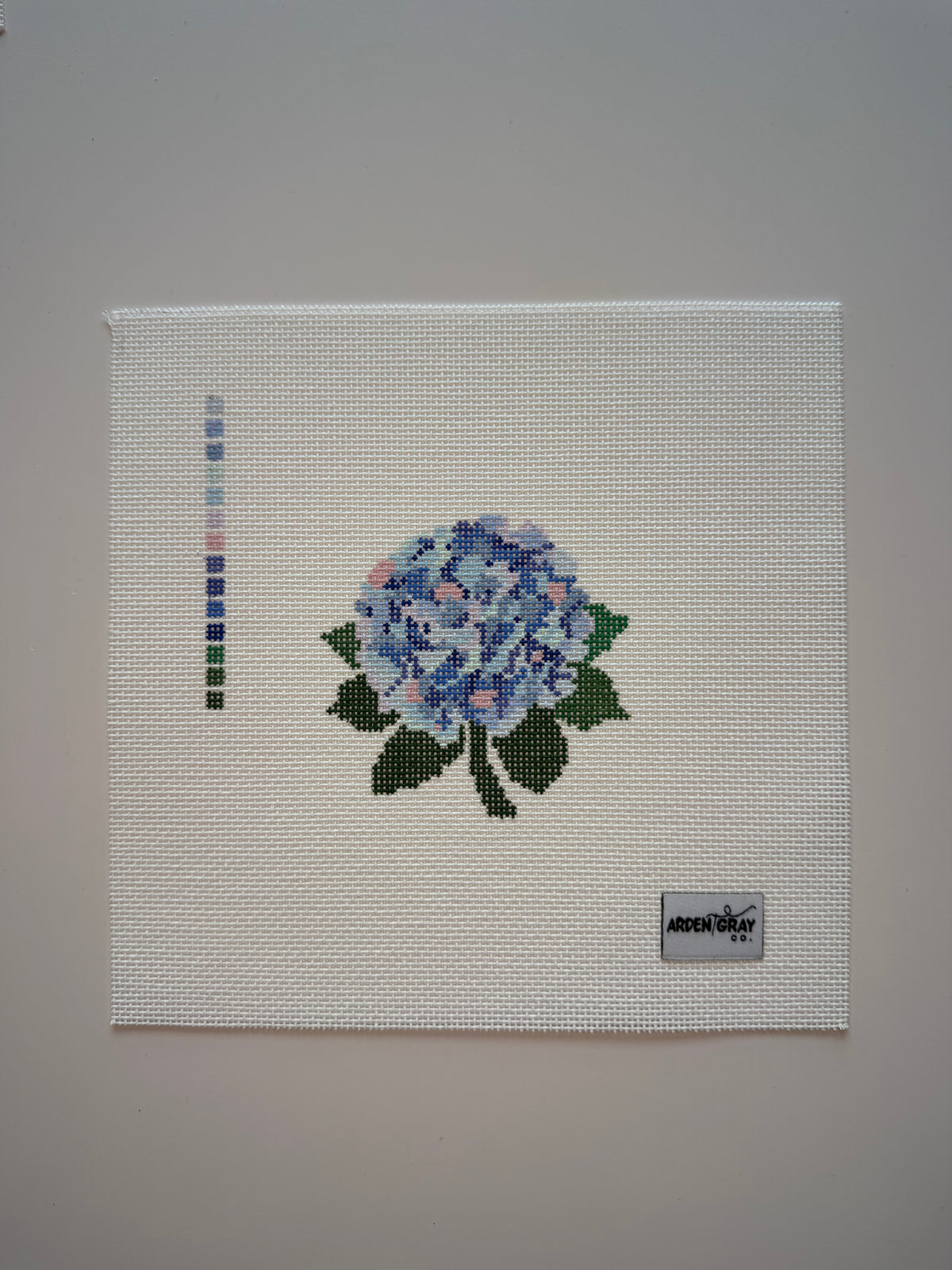 Hydrangea - MKT