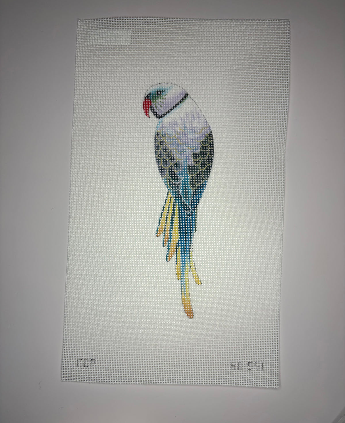 AN551 Parakeet - MKT3