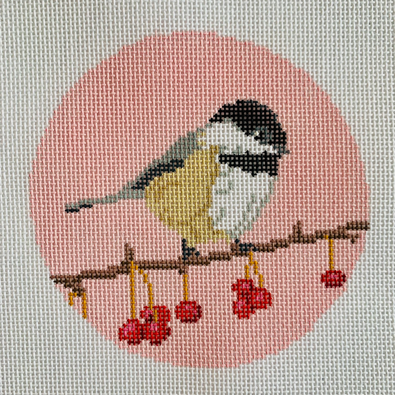 T2 Chickadee