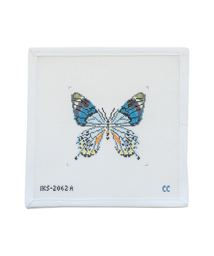 IKS 2062A - Blue Gray Butterfly