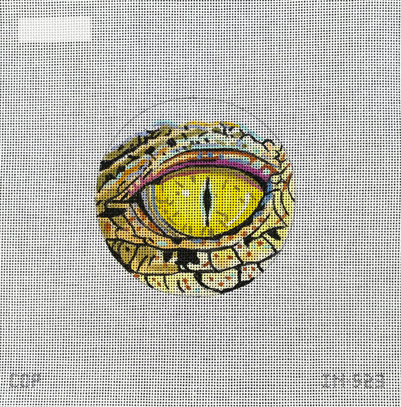 IN523 reptile eye
