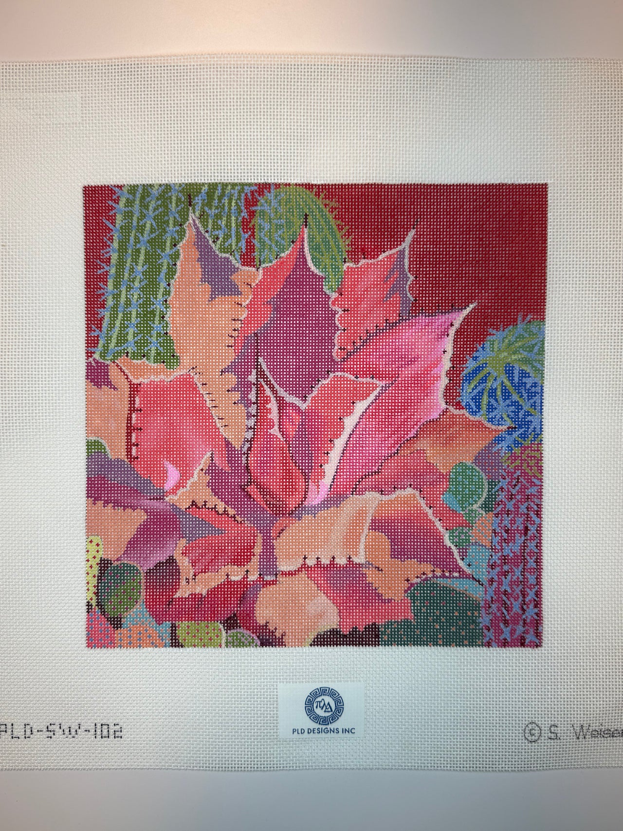 SW-102 Desert Agave - MKT