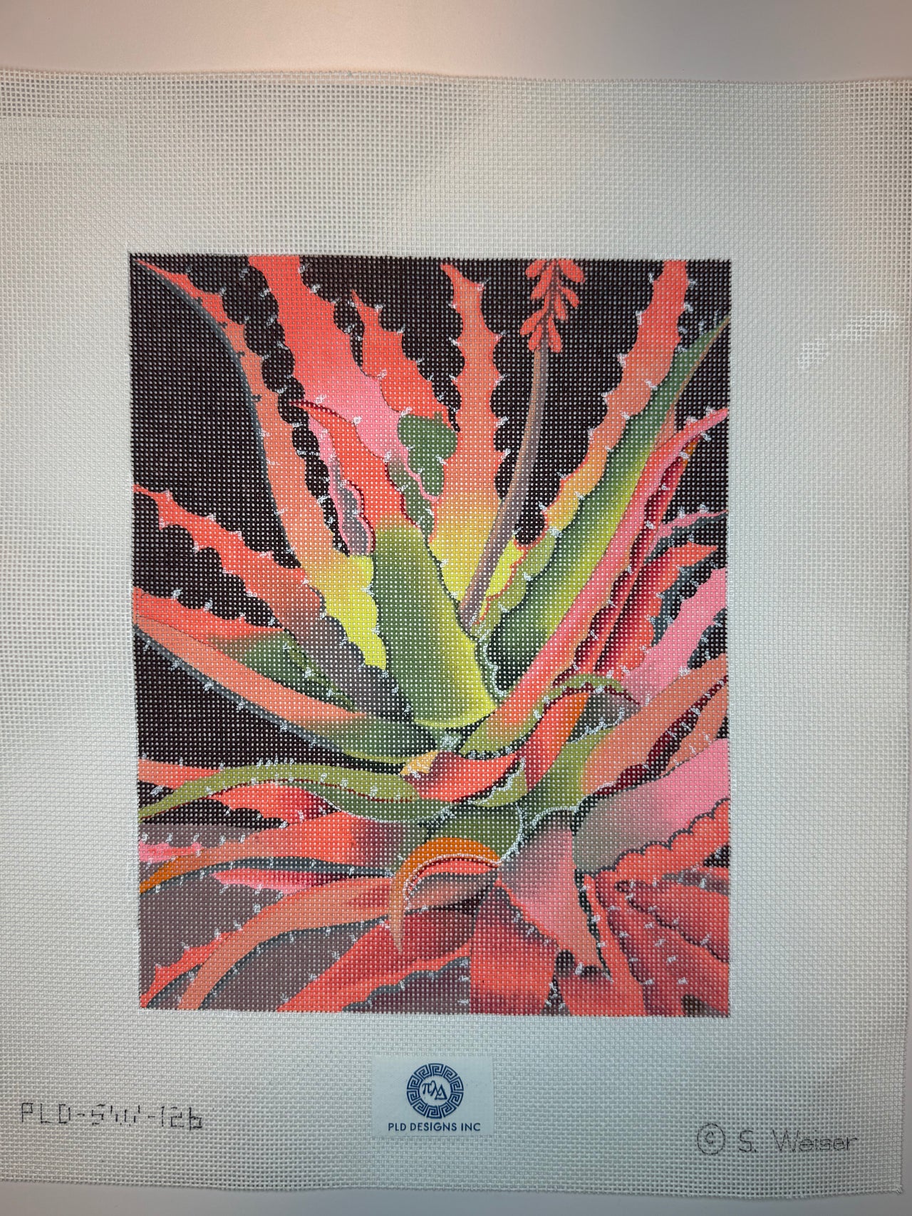 SW-126 Sunset Agave - MKT