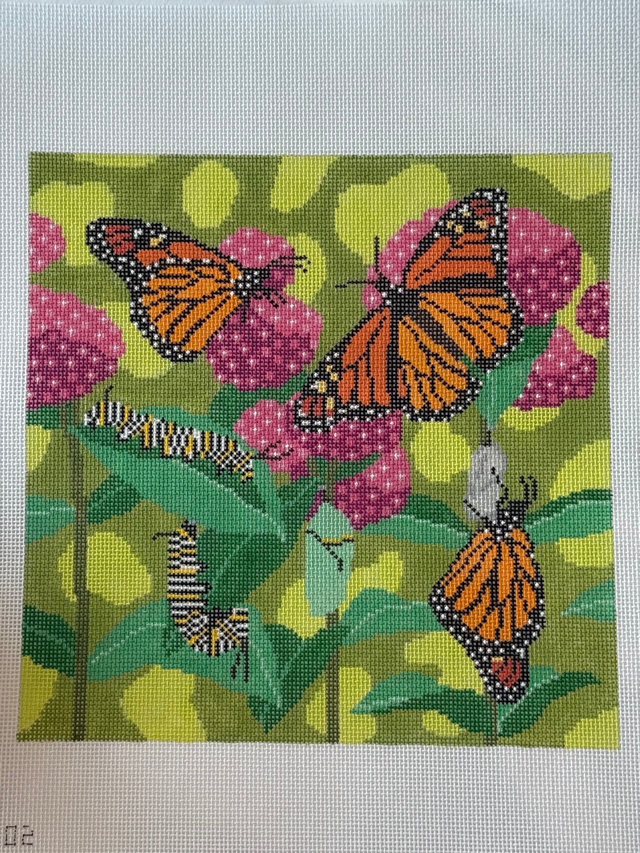 EB-PL-02 Monarch Life Cycle