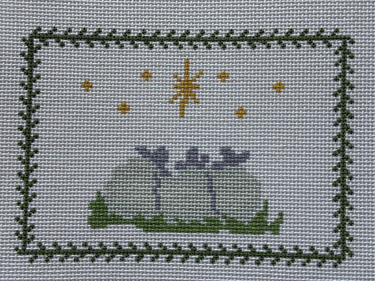 MCD24 Sheep with North Star