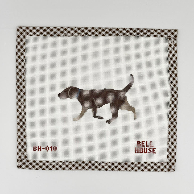 BH-010 Chocolate Lab