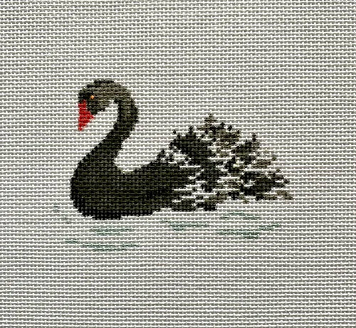 27P The Black Swan - TS