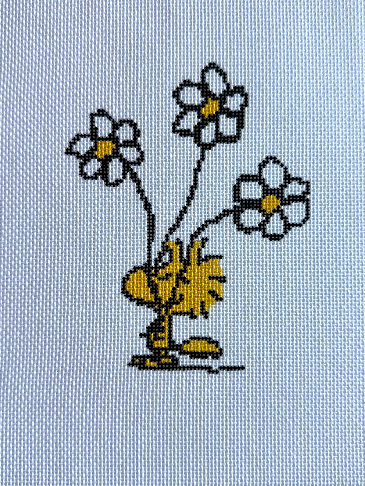 PNTS-EV05 PEANUTS Everyday - Woodstock with Daisies Canvas - SE