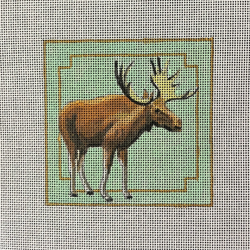 IN448 Moose Coaster