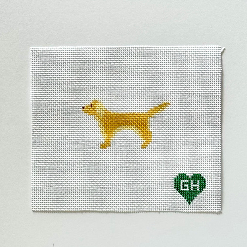 Golden Retriever Mini