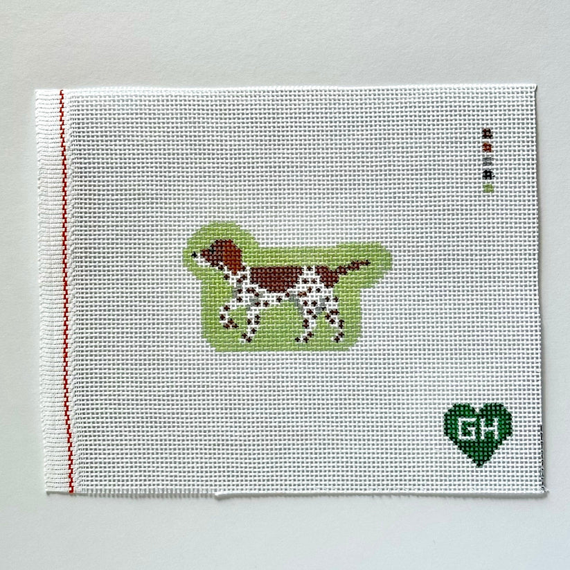 German Shorthair Pointer Mini