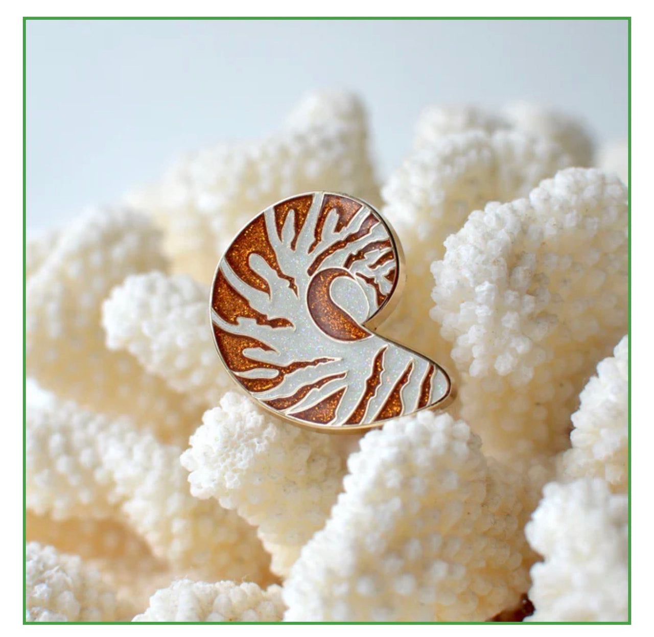 Nautilus Shell Needleminder