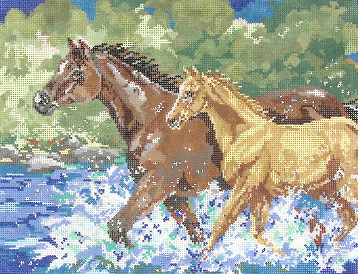 KDS-PL 43 Morning Gallop - TS