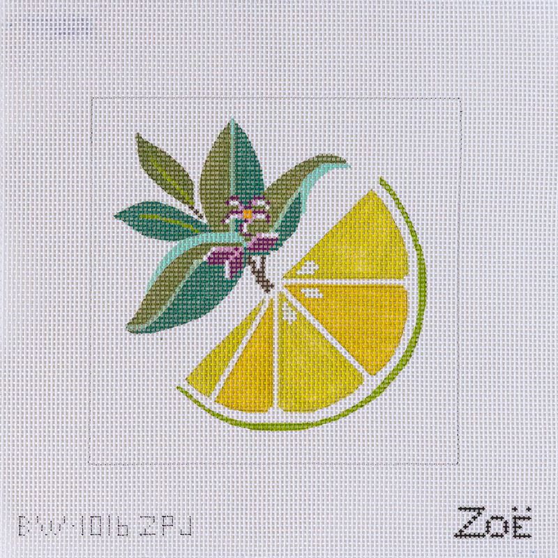 10 mesh Zoe Pischke Beginner Kits