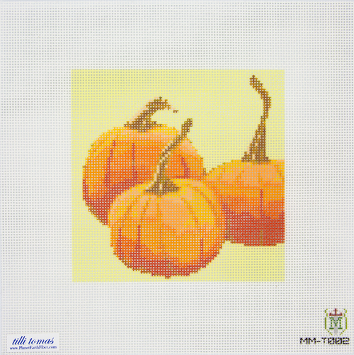 MM-T002 Pumpkin Group and Self Finishing Small Tote Bag
