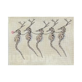 NM-PL 01 Seahorses - TS