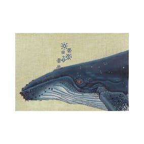 NM-PL 03 Whale - TS